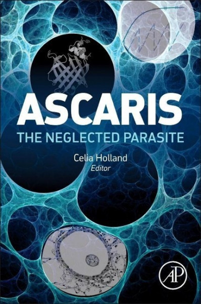 Ascaris