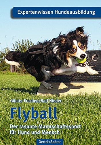Flyball: Der rasante Mannschaftssport für Hund und Mensch
