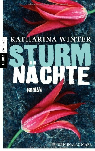 Sturmnächte: Roman