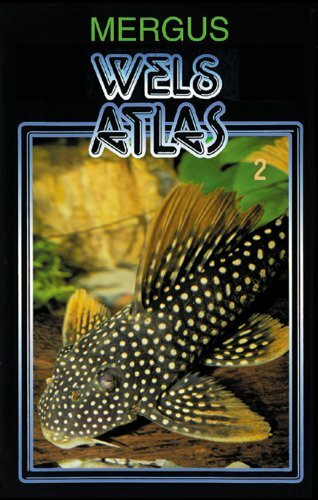 Wels Atlas 2