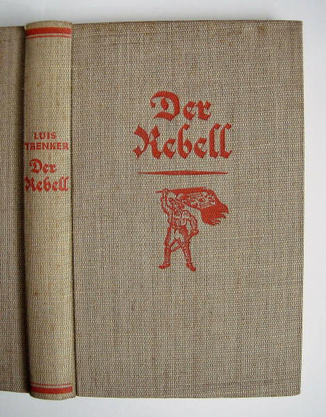 Der Rebell: Roman