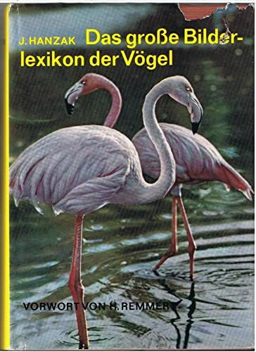 Das Große Bilderlexikon der Vögel