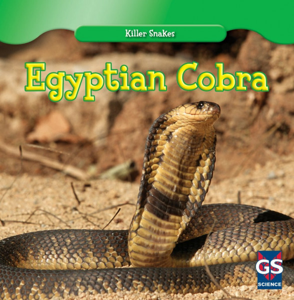 Egyptian Cobra (Killer Snakes)