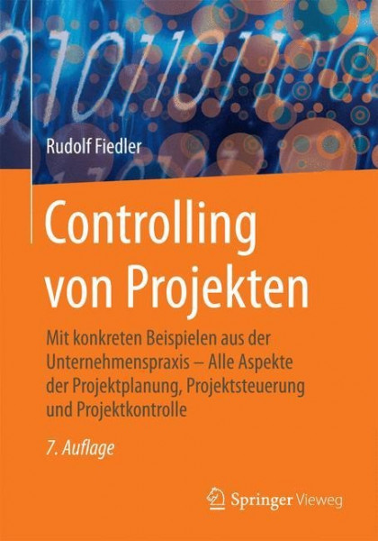 Controlling von Projekten