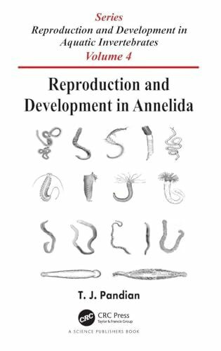 Reproduction and Development in Annelida: Series On: Reproduction and Development in Aquatic Invertebrates (Reproduction and Development in Aquatic Invertebrates, 4, Band 4)