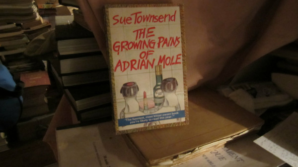 The Growing Pains of Adrian Mole