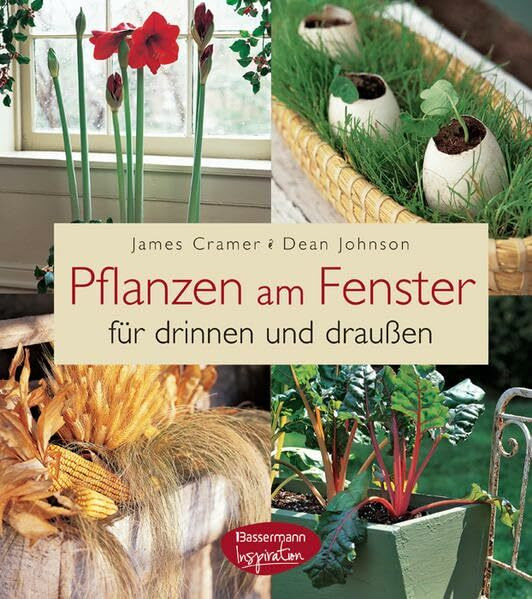 Pflanzen am Fenster: für drinnen und draußen: für drinnen und draußen. 100 Projekte und Pflanzideen für jede Jahreszeit