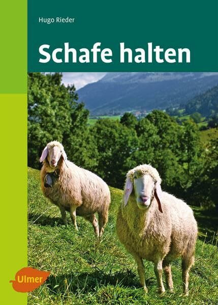 Schafe halten