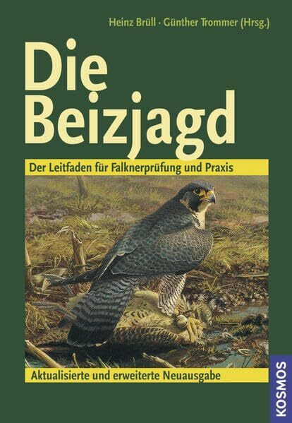 Die Beizjagd