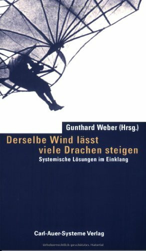 Derselbe Wind lässt viele Drachen steigen: Systemische Lösungen im Einklang