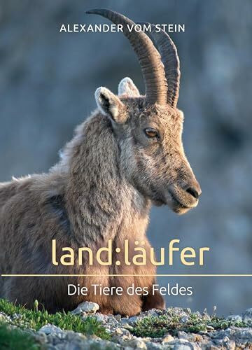 land:läufer: Die Tiere des Feldes