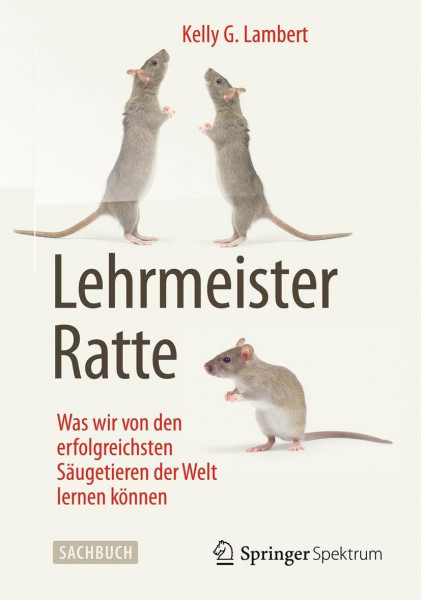 Lehrmeister Ratte: Was wir von den erfolgreichsten Säugetieren der Welt lernen können