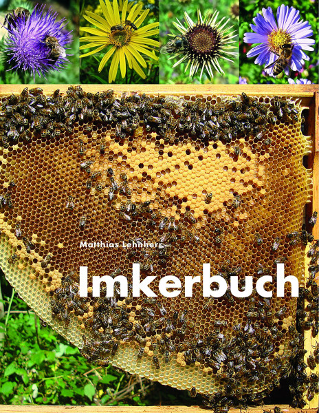Imkerbuch: Der süsseste aller Stoffe. Der sozialste aller Staaten. Ein Jahr mit Bienenvolk und Imker
