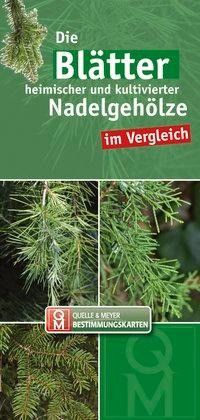 Die Blätter heimischer und kultivierter Nadelgehölze im Vergleich