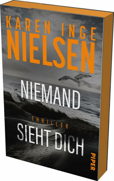 Niemand sieht dich (Grenzland 2): Thriller | Mit limitiertem Farbschnitt | Dunkle Morde im Grenzland | Die Thriller-Sensation aus Dänemark
