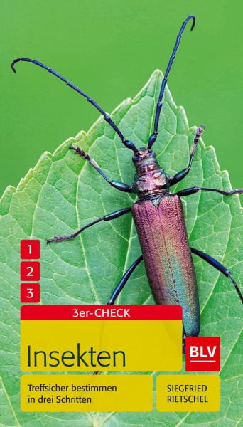 Insekten: Treffsicher bestimmen in drei Schritten (BLV Insekten)