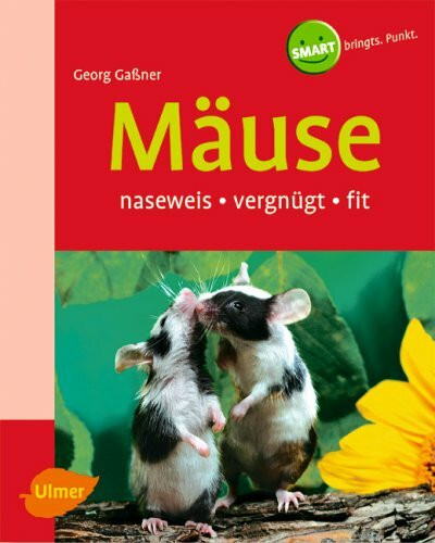 Mäuse (Heimtiere halten)