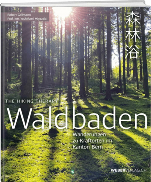 Waldbaden: The Hiking Therapy: Wanderungen zu Kraftorten im Kanton Bern