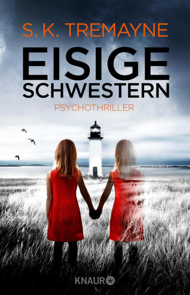 Eisige Schwestern: Psychothriller