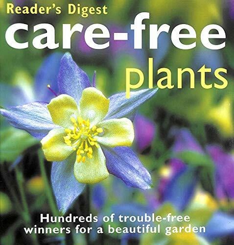 Care-free Plants