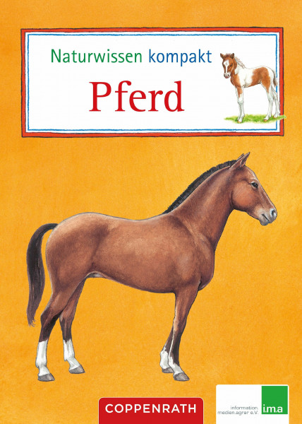 Naturwissen kompakt: Pferd: (Verkaufseinheit) (Kreativ- und Sachbücher)