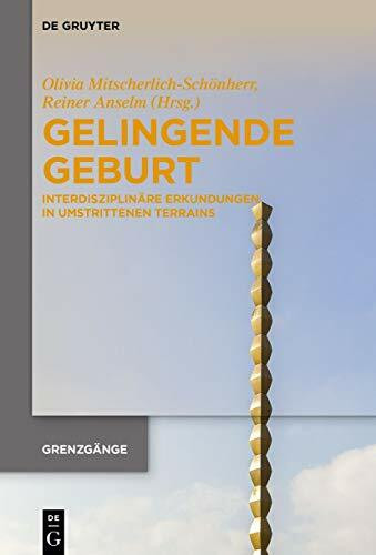 Gelingende Geburt: Interdisziplinäre Erkundungen in umstrittenen Terrains (Grenzgänge, 2, Band 2)