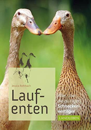 Laufenten: Alles über die quirligen Schneckenfresser