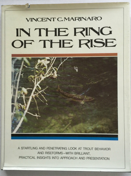 In the Ring of the Rise