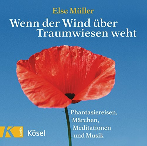 Wenn der Wind über Traumwiesen weht: Phantasiereisen, Märchen, Meditationen und Musik von Helmer Sauer