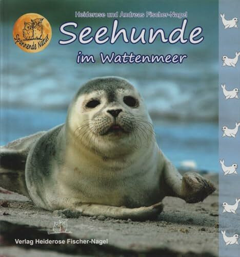 Seehunde im Wattenmeer