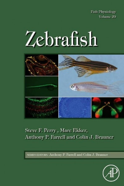 Fish Physiology 29. Zebrafish