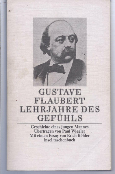 Lehrjahre des Gefühls: Geschichte eines jungen Mannes. Roman (insel taschenbuch)