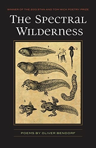 The Spectral Wilderness: Poems (Wick Poetry First Book, Band 20)