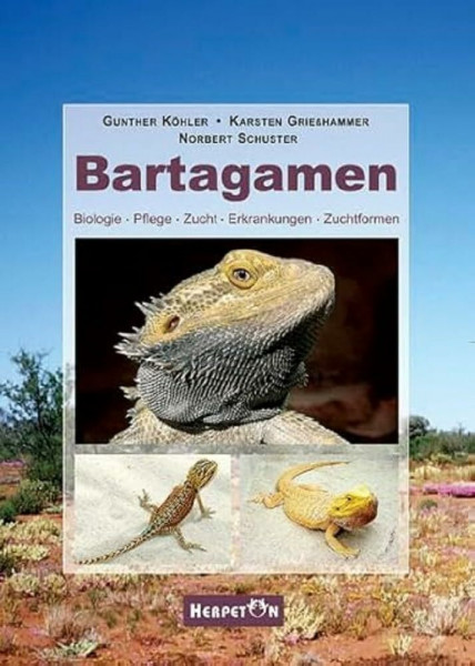 Bartagamen: Biologie, Pflege, Zucht, Erkrankungen, Zuchtformen