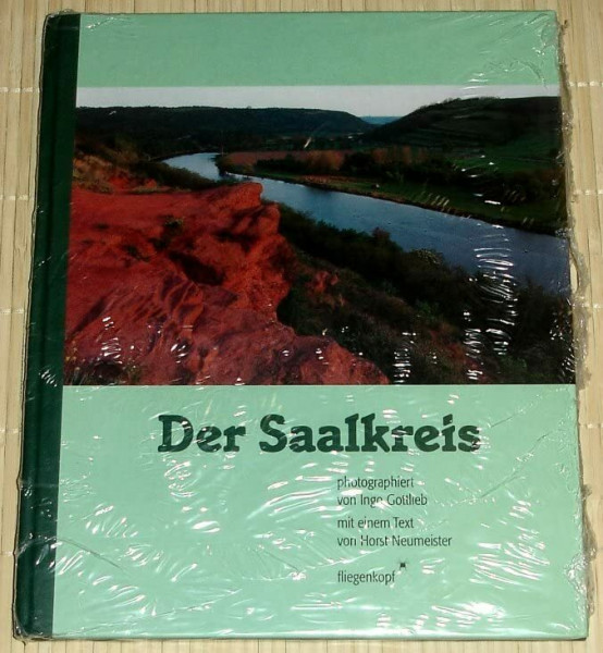 Der Saalkreis