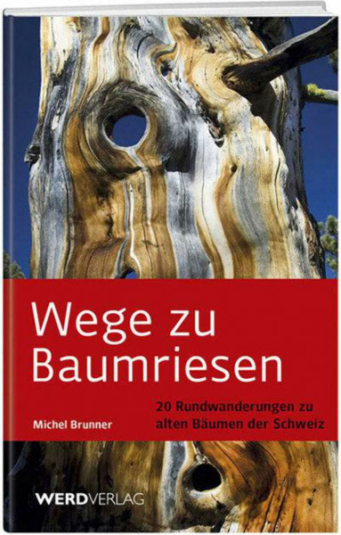 Wege zu Baumriesen: 20 Rundwanderungen zu alten Bäumen der Schweiz