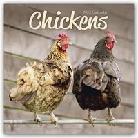 Chickens - Hühner 2022 - 18-Monatskalender