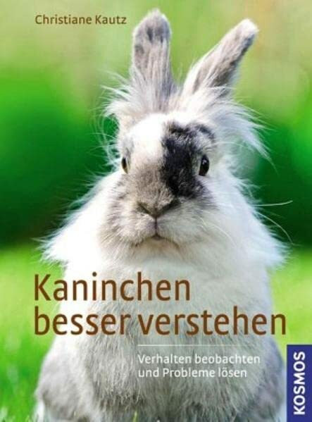 Kaninchen besser verstehen: Verhalten beobachten und Probleme lösen