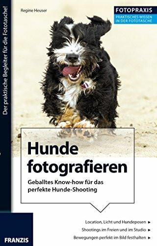 Foto Praxis Hunde fotografieren: Geballtes Know-how für das perfekte Hunde-Shooting