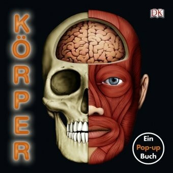Körper