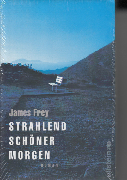 Strahlend schöner Morgen: Roman