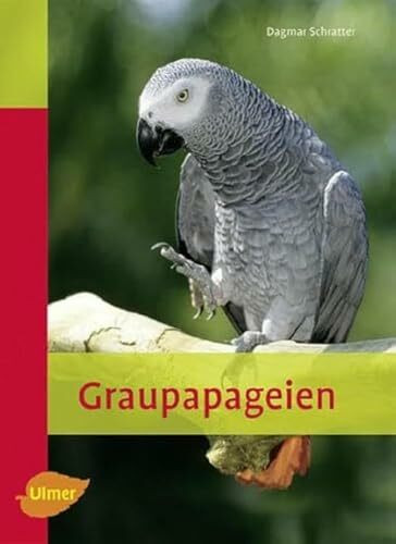 Graupapageien (Heimtiere)