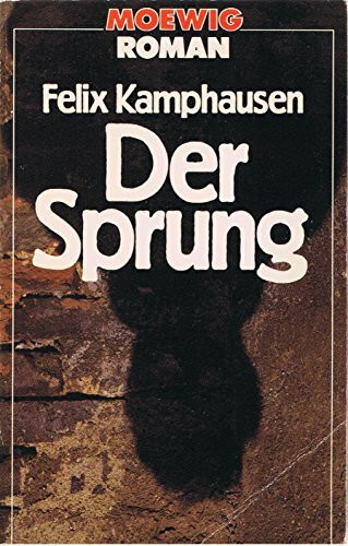Der Sprung. Roman.