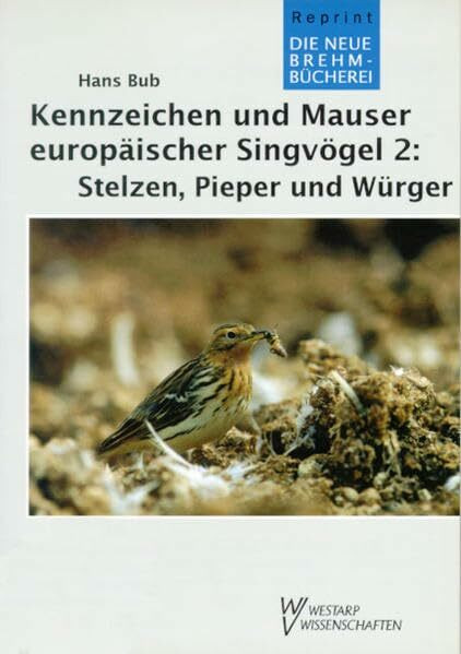 Kennzeichen und Mauser europäischer Singvögel: KENNZ. & MAUSER EUROP. 2 SINGVÖGEL: Stelzen, Pieper und Würger /Motacillidae und Laniidae (Die Neue ... botanische und paläontologische Monografien)