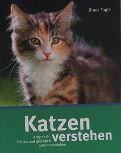 Katzen richtig verstehen