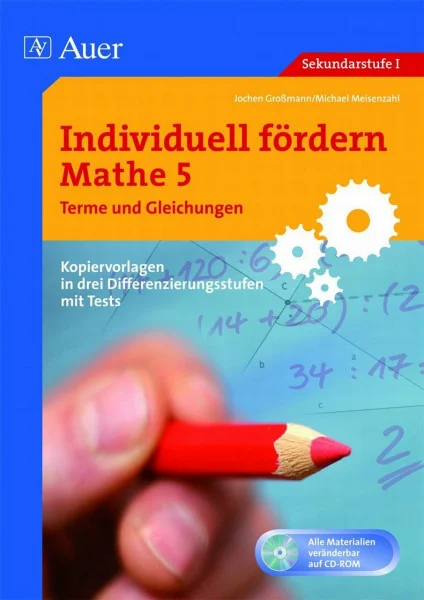 Individuell fördern Mathe 5, Terme & Gleichungen: Kopiervorlagen in drei Differenzierungsstufen mit Tests (5. Klasse)