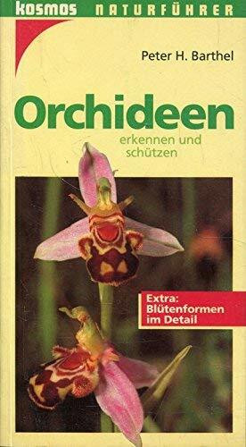 Orchideen erkennen und schützen (Naturführer)