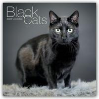 Black Cats - Schwarze Katzen 2022 - 18-Monatskalender