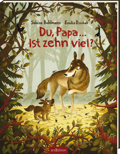 Du, Papa ... Ist zehn viel?: Kinderbuch ab 3, Geschichte von Papa und Kind über die Kraft von Fragen und Liebhaben (Biderbuch-Duo Sabine Bohlmann und Emilia Dziubak)