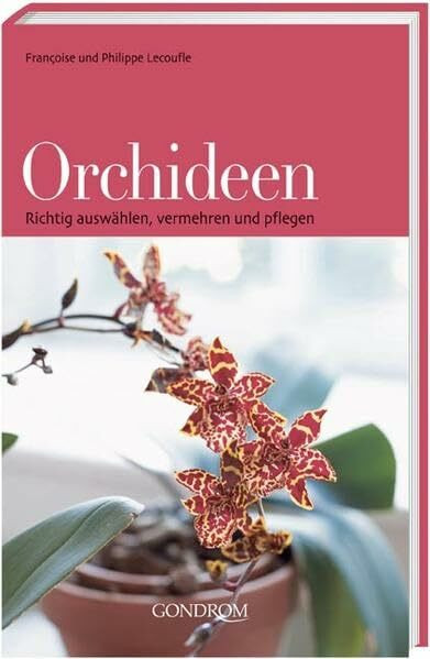 Orchideen: Richtig auswählen, vermehren und pflegen